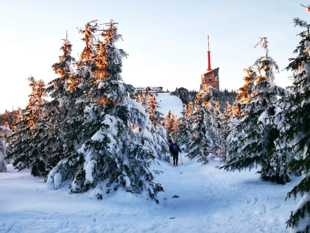 Penzion Palma Frýdlant nad Ostravicí Exterior foto